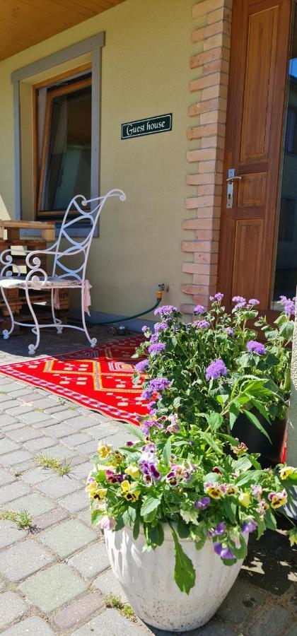Spacious House With Indoor Pool & Sauna. Ādaži エクステリア 写真