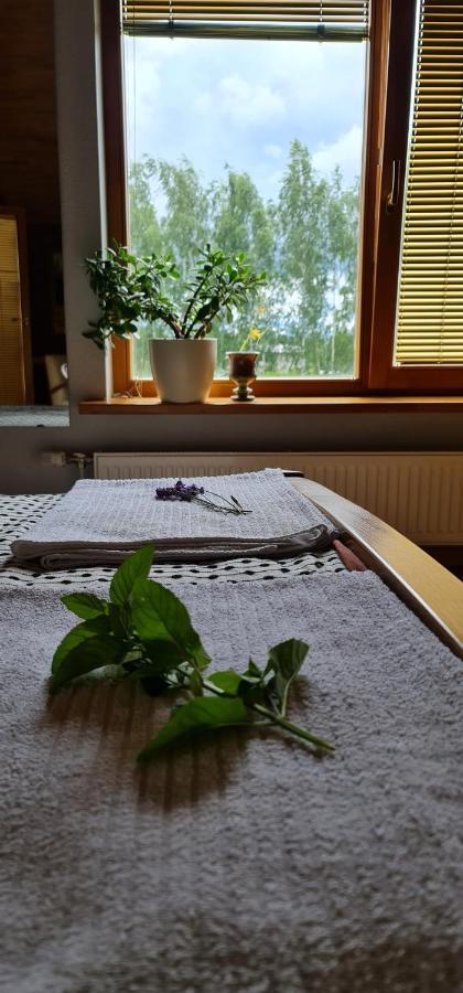 Spacious House With Indoor Pool & Sauna. Ādaži エクステリア 写真